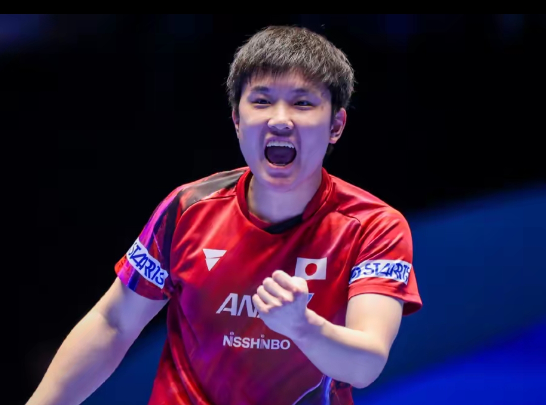 本场不仅有 本场不仅有